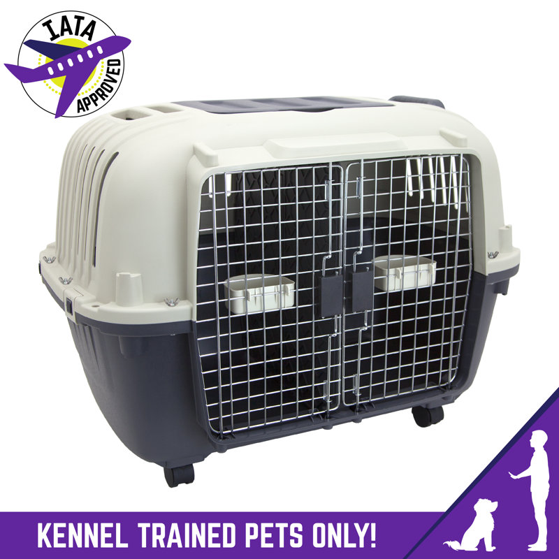 Tucker Murphy Pet Sportpet Designs Large Double Wire 2 Door Plastic Kennel Wayfair